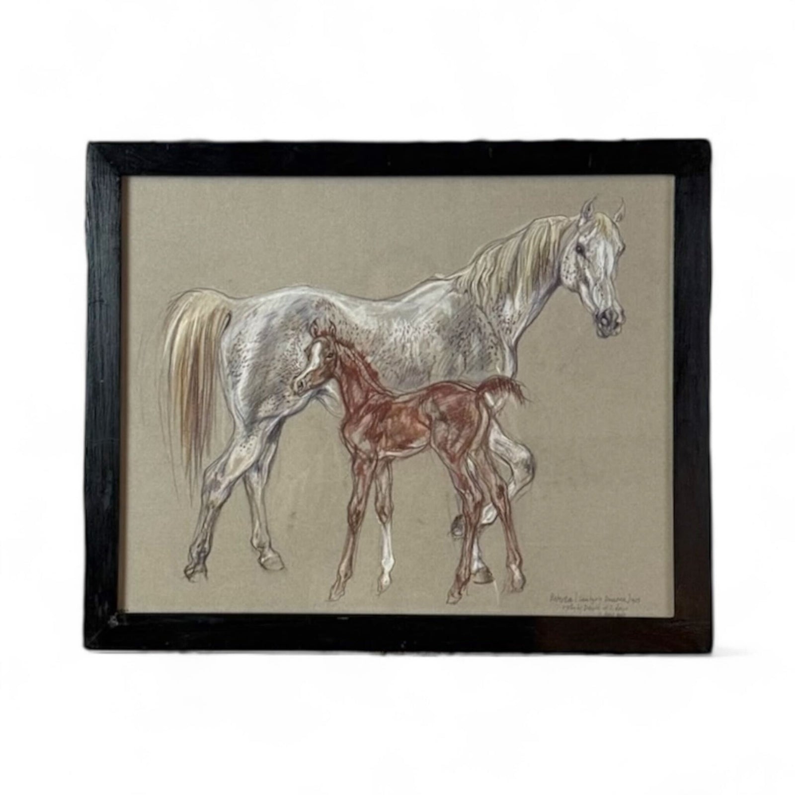 Equestrian Study VI