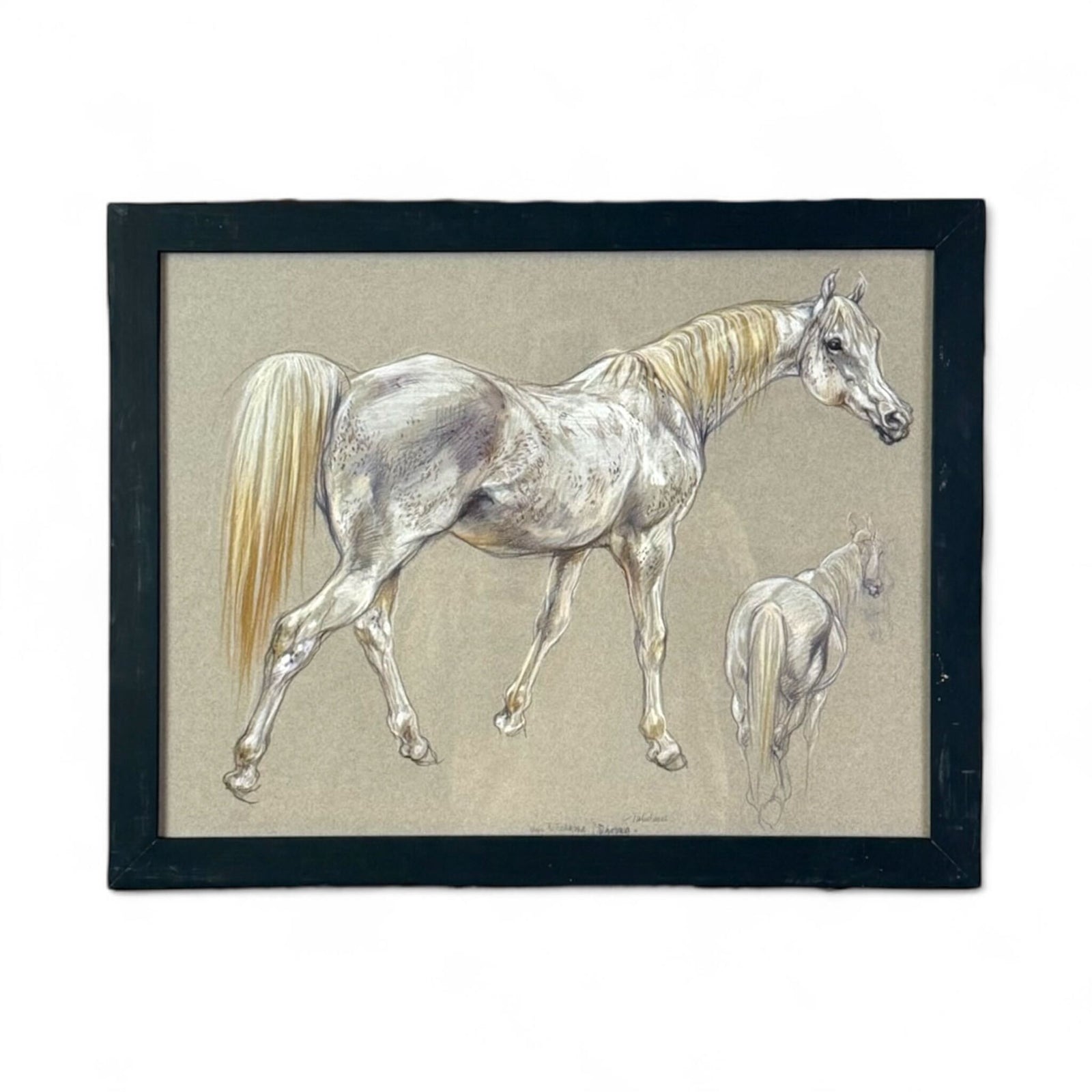Equestrian Study IV