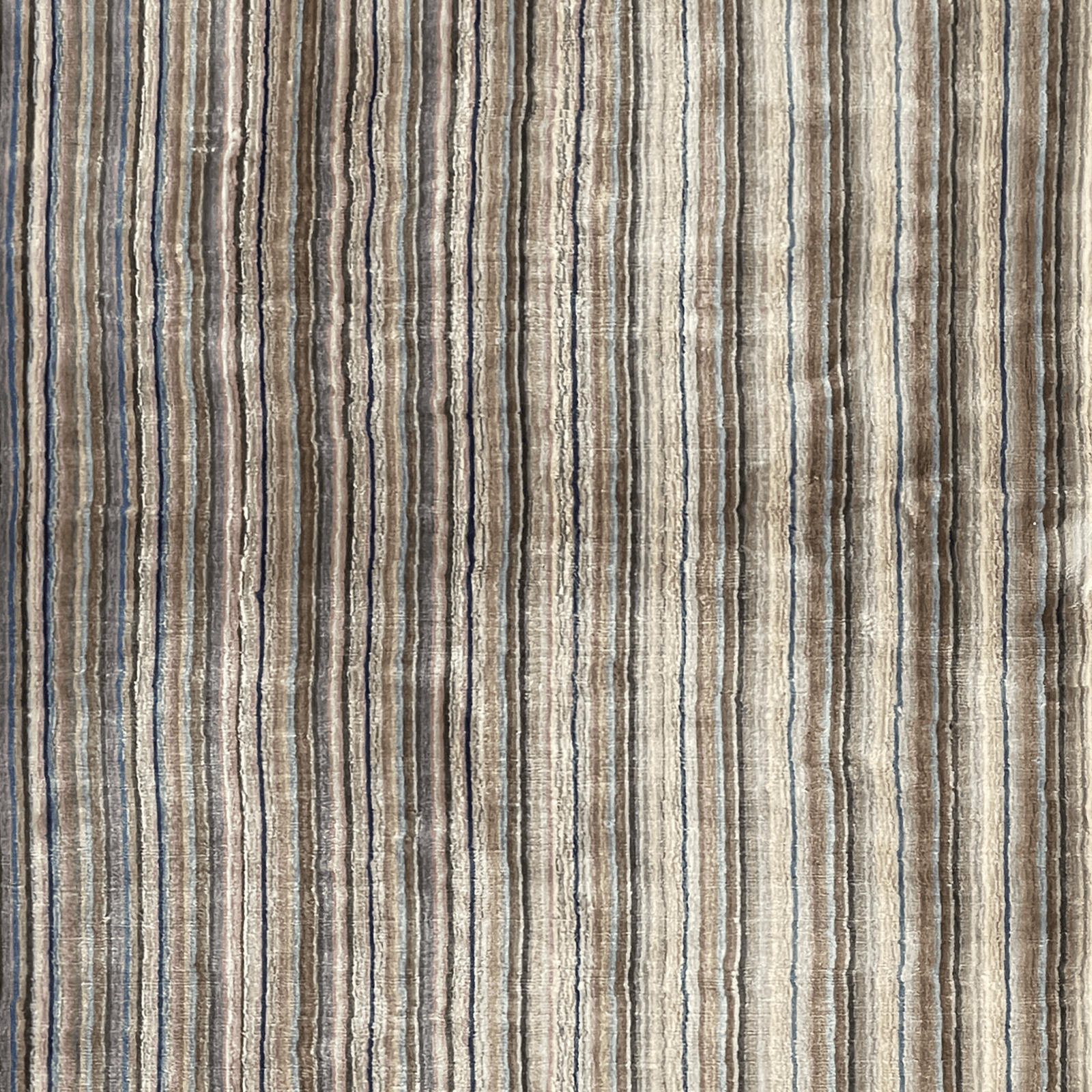 Grey Stripe