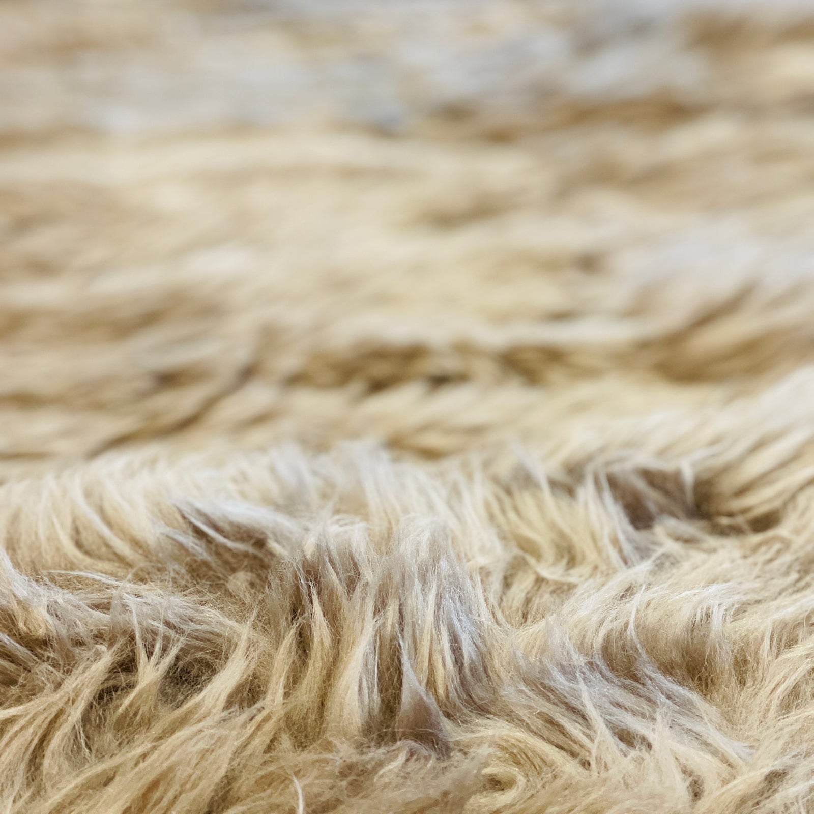 Hides & Sheepskins