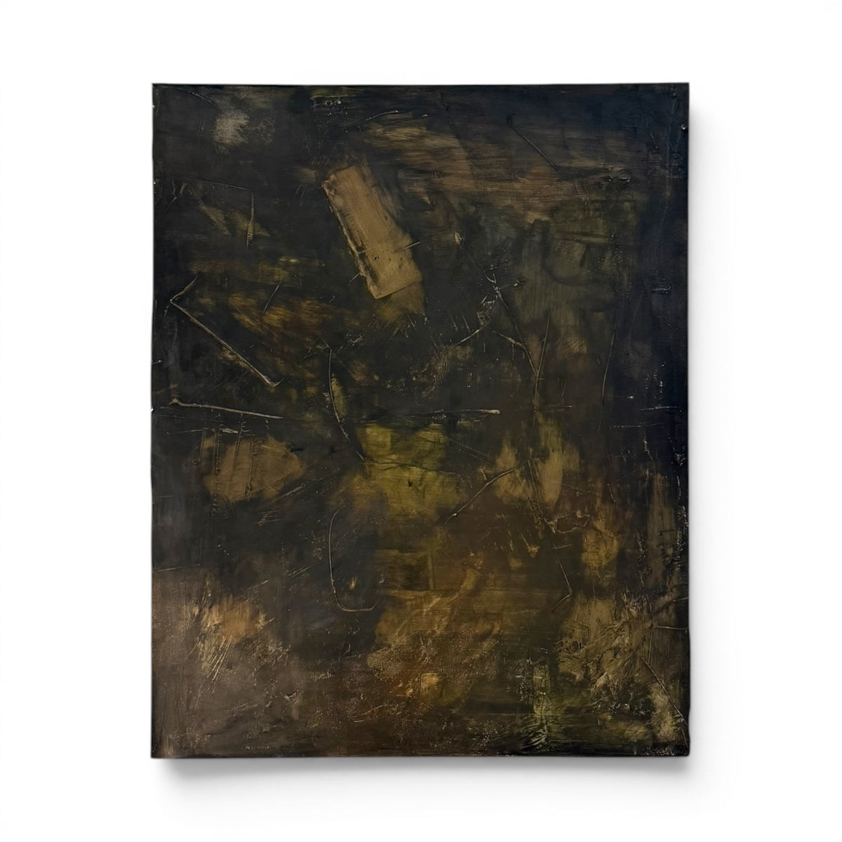Forest Floor