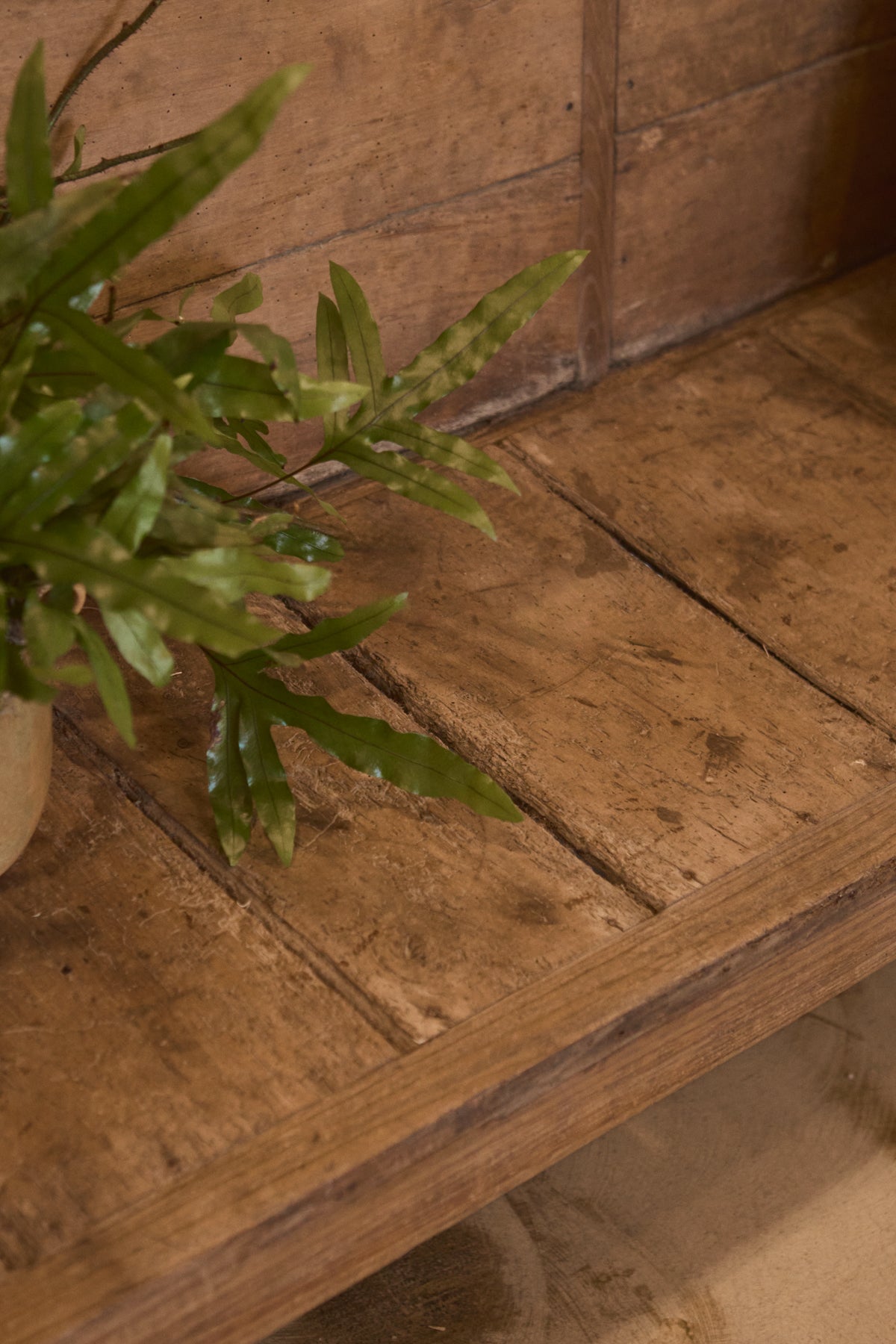 Spanish Pine & Elm Bench