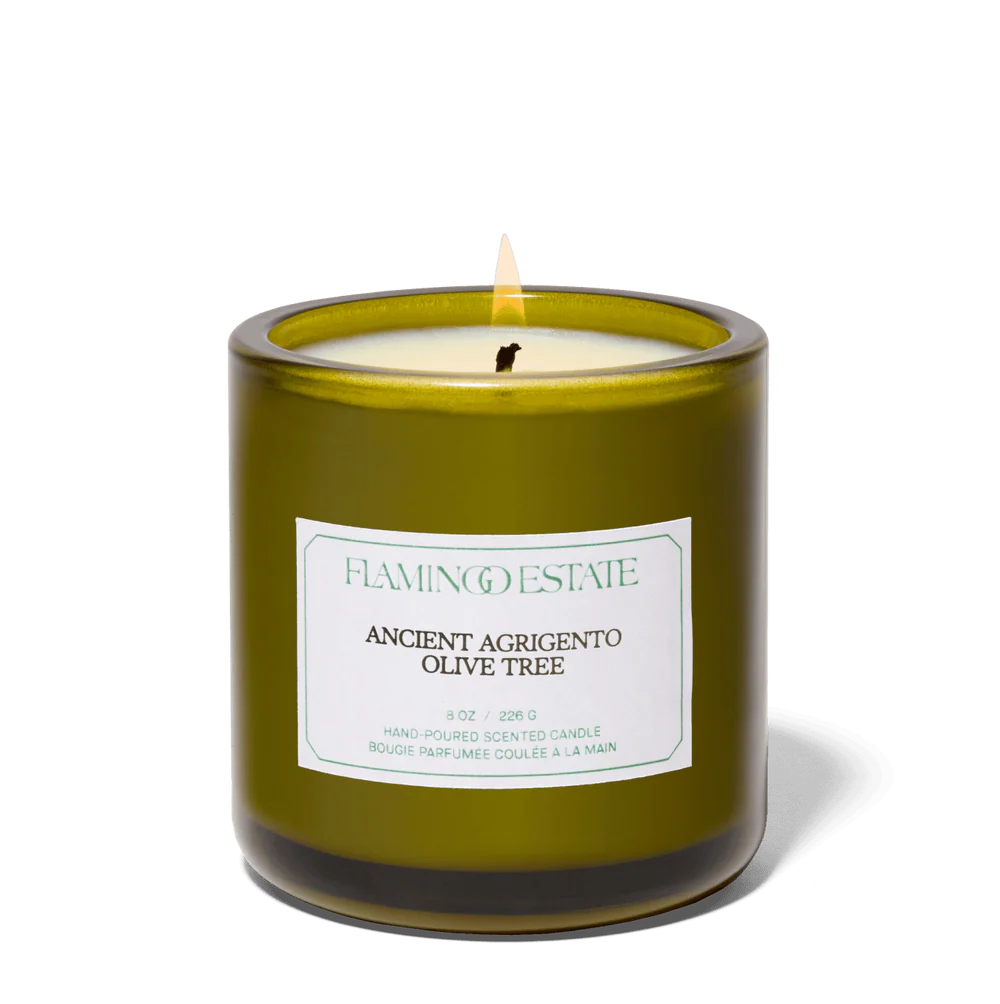 Olive Tree Candle | Flamingo Estate