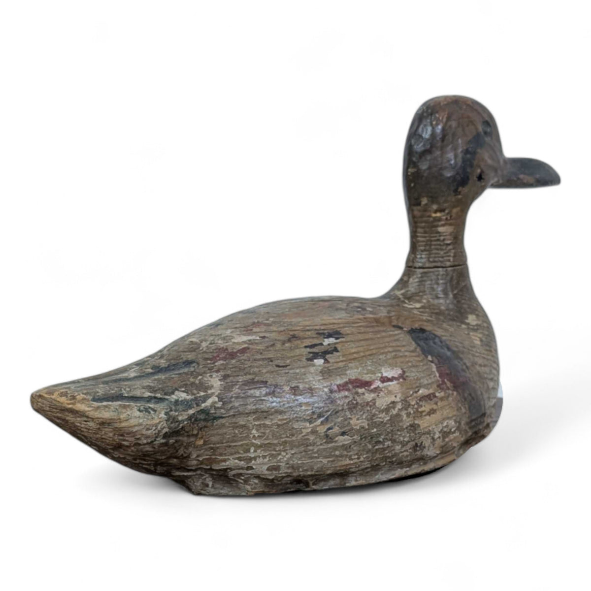 Shoveller Duck Decoy