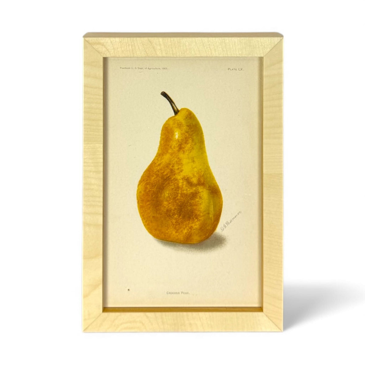 Framed USDA Fruit Print II