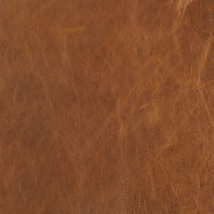 Joplin Marigold