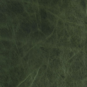 Joplin Spruce