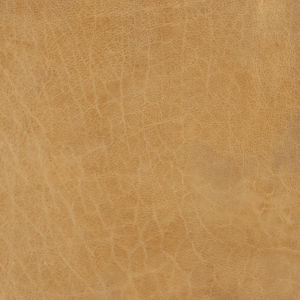Murphy Sandstone