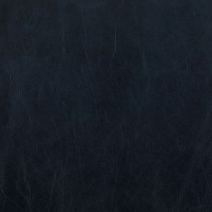 Pasadena Deep Sea