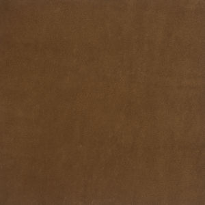 Pickett Tawny