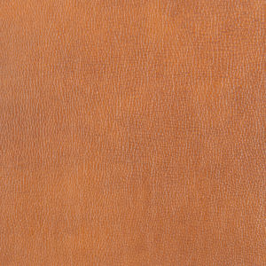 Timothy Tawny