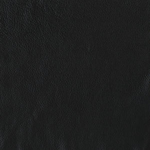 Tribeca Black