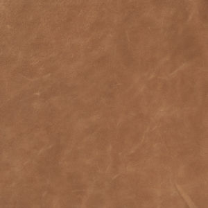 Tucson Nutmeg