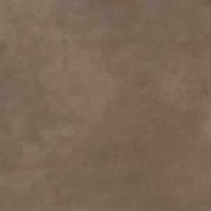 Wilson Taupe