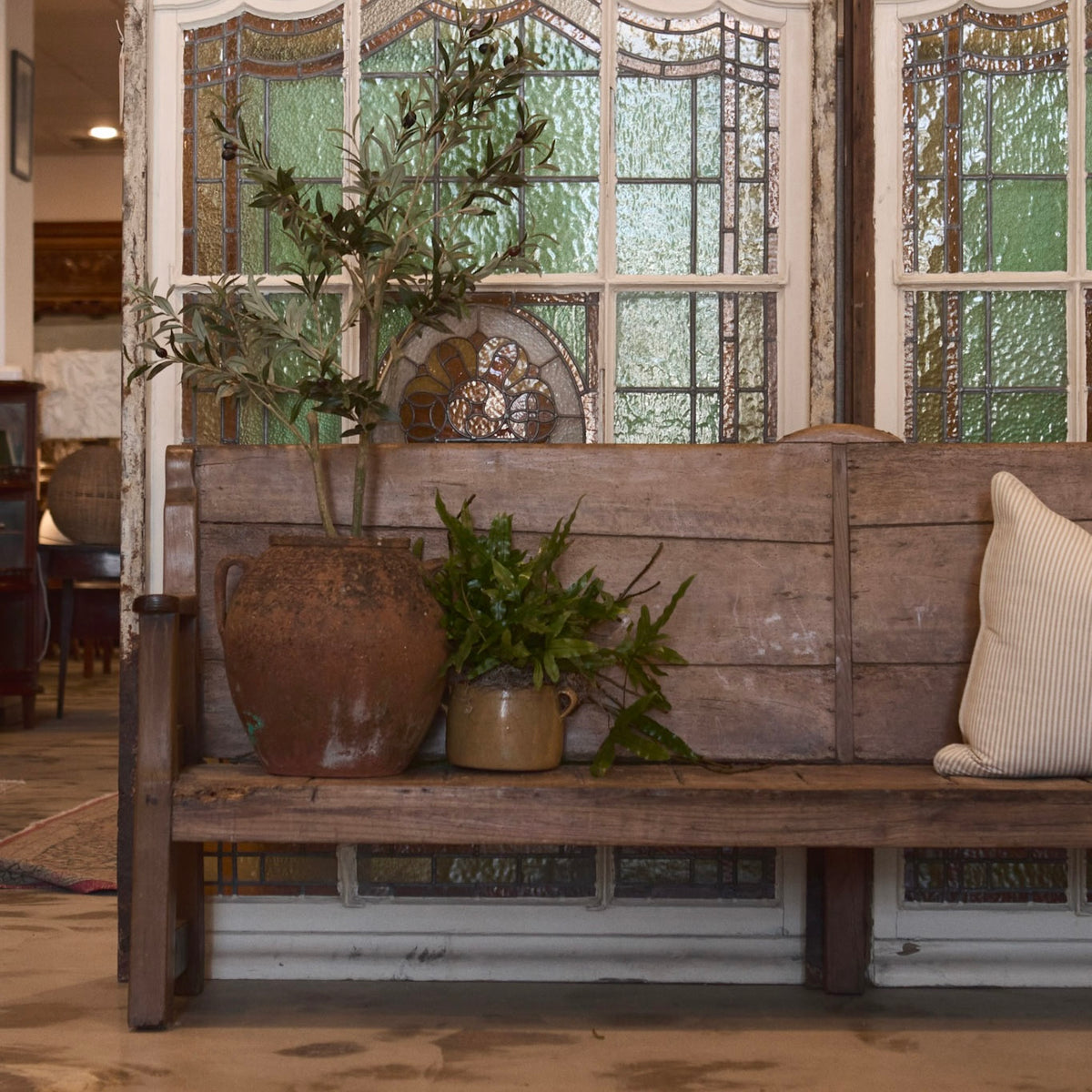 Spanish Pine & Elm Bench