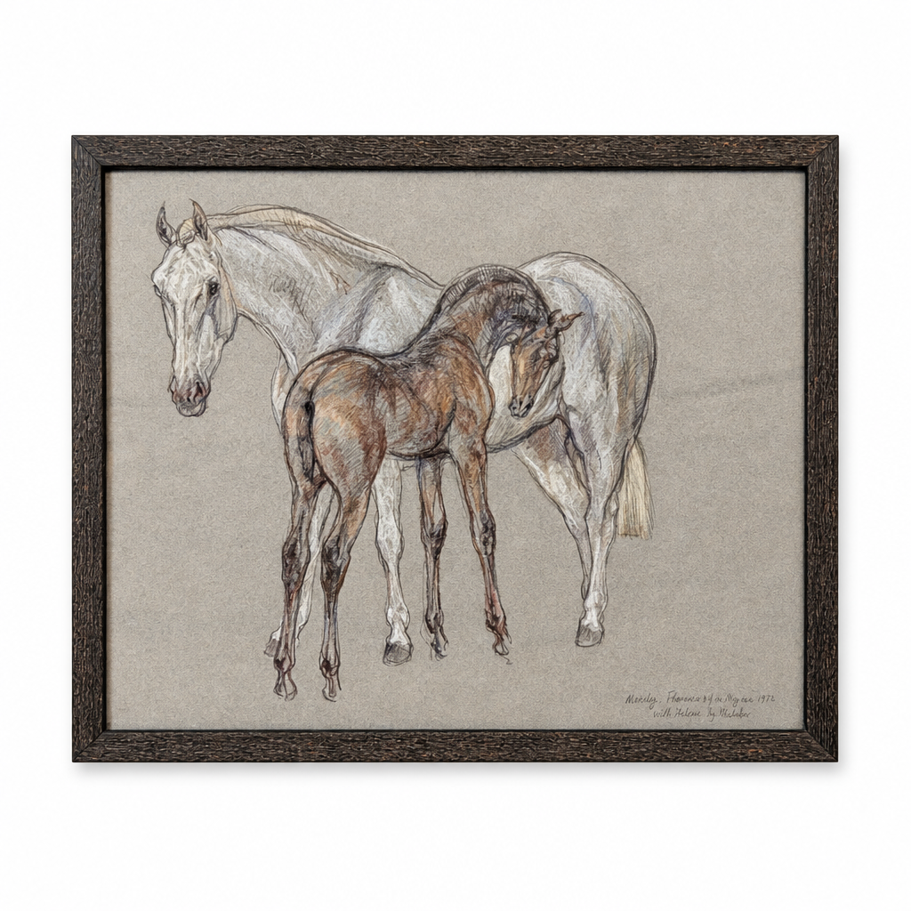 Equestrian Study III