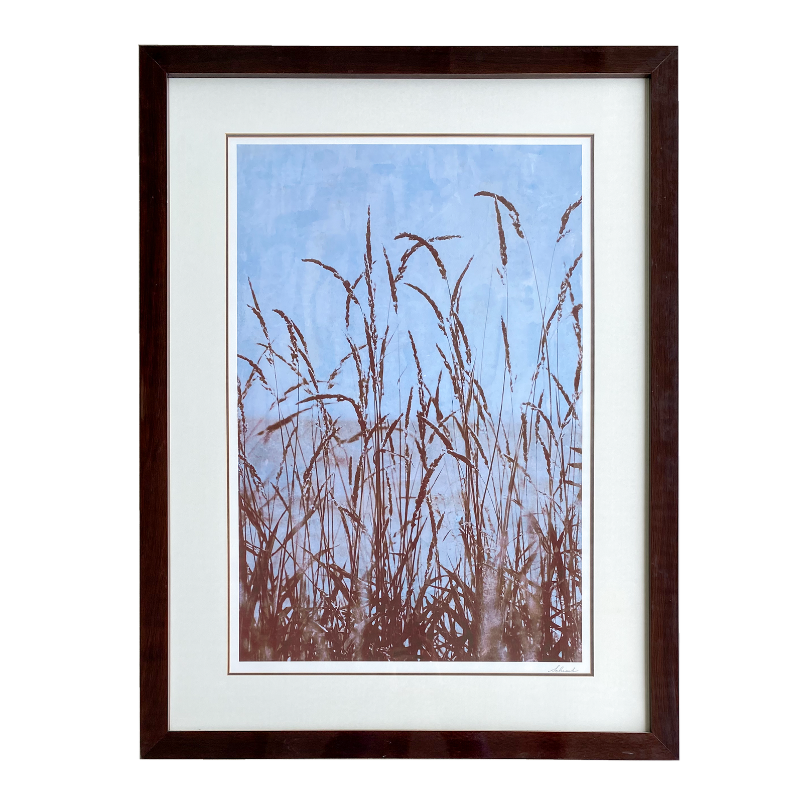 Mixed Media Photographic 