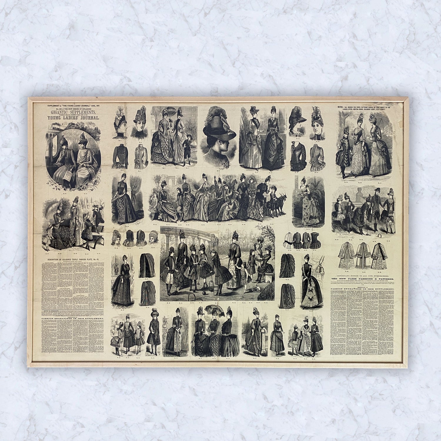 Young Ladies Journal Supplement Circa 1887