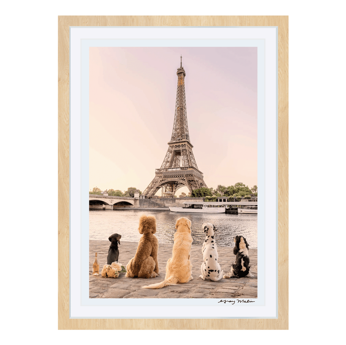 Gray Malin Dogs of Paris Sunset at the Seine River